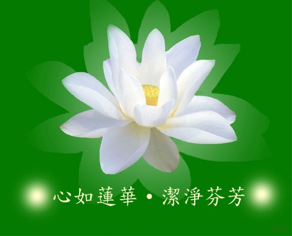 IPB Image