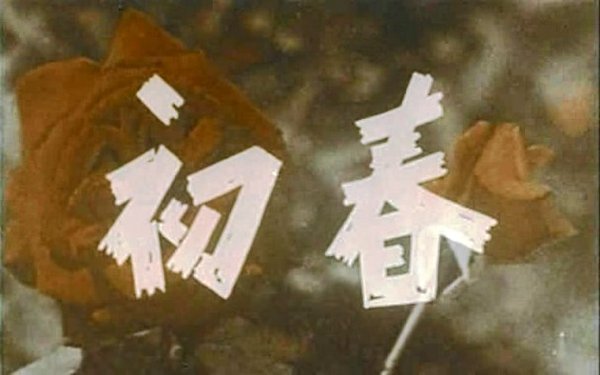 IPB Image