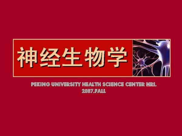 IPB Image
