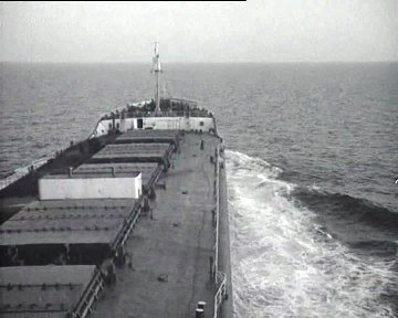 IPB Image