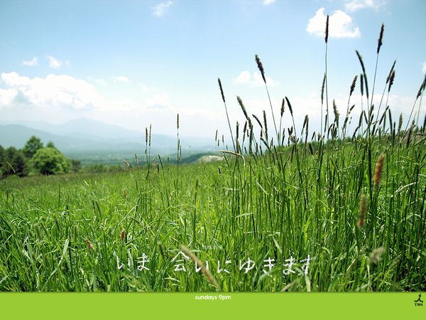 IPB Image